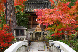 Eikan-dō Zenrin-ji Temple