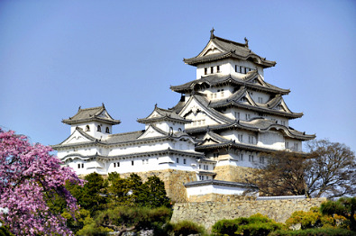 Himeji Castle during the cherry blossoms season