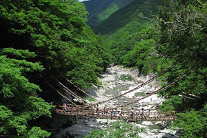 Kazurabashi bridge, Iya Valley (photo by 京浜にけ at ja.wikipedia - Creative Commons Attribution-Share Alike 3.0 Unported license)