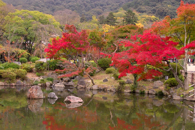 Maruyama Park in autumn, Kyōto