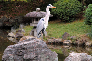 Maruyama Park
