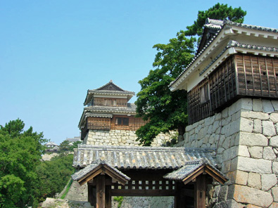 Matsuyama castle (&copy; Wa-pedia.com)