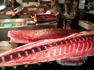Tsukiji Fish Market